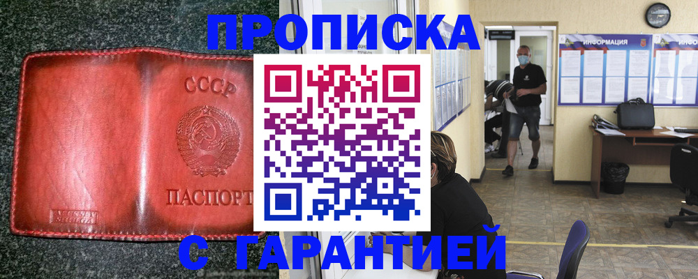 прописка гарантия в Михайловке